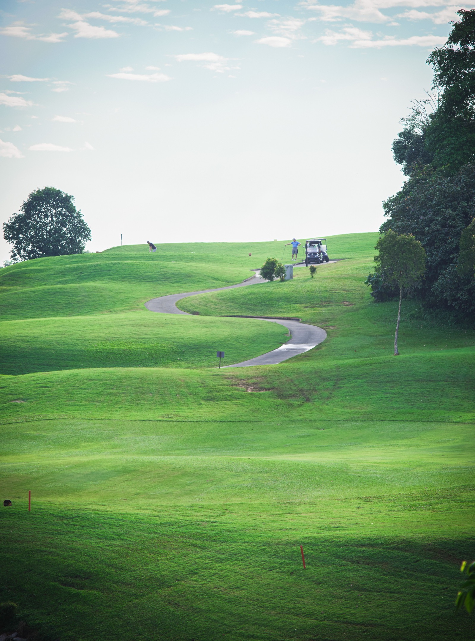 Championship golf course in morning mist